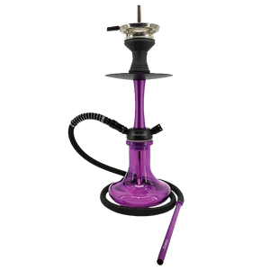 Starbuzz Chico Hookah - Purple